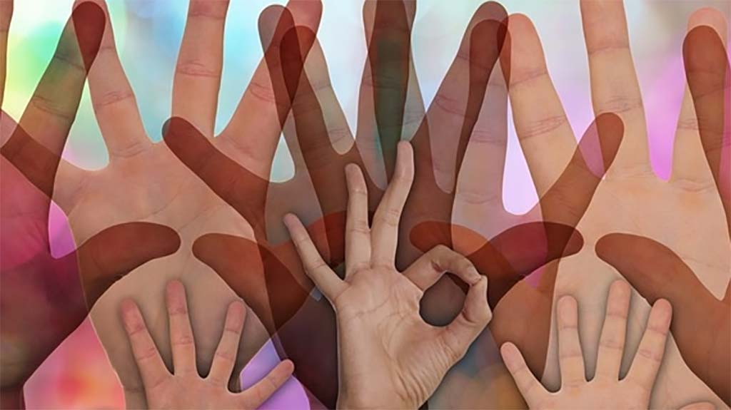 The Filipino Nurses Association