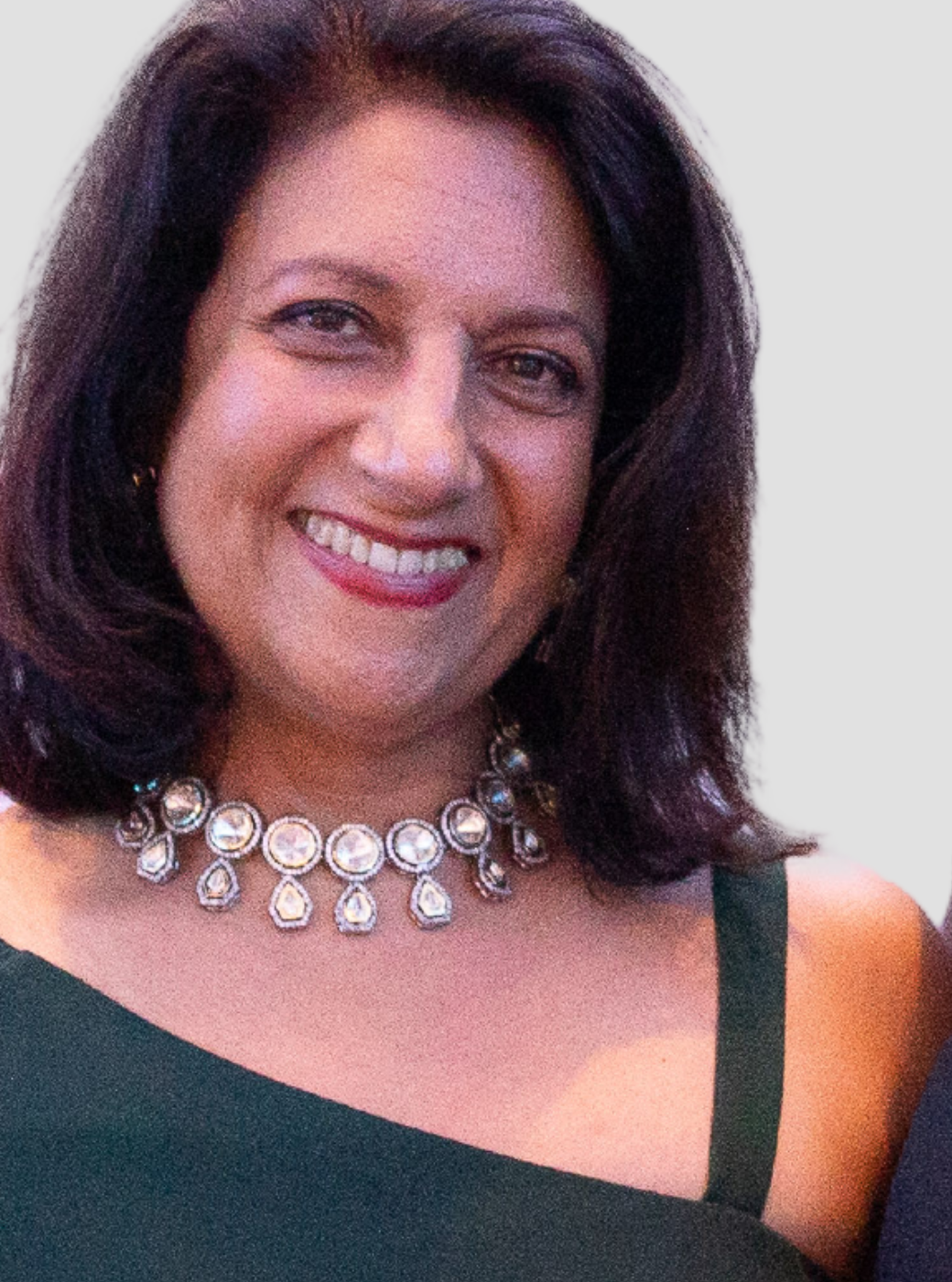 Professor (Dr) Monica Lakhanpaul